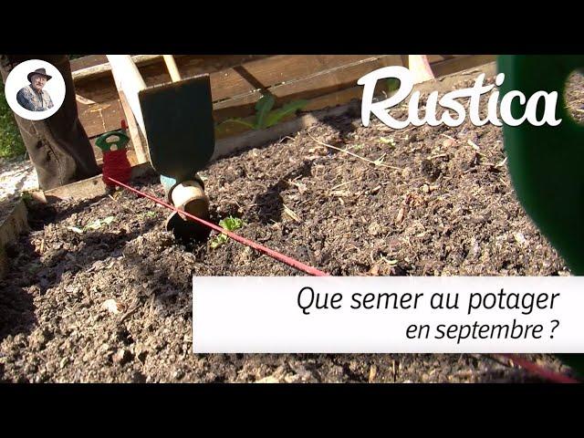 Que semer en septembre au potager