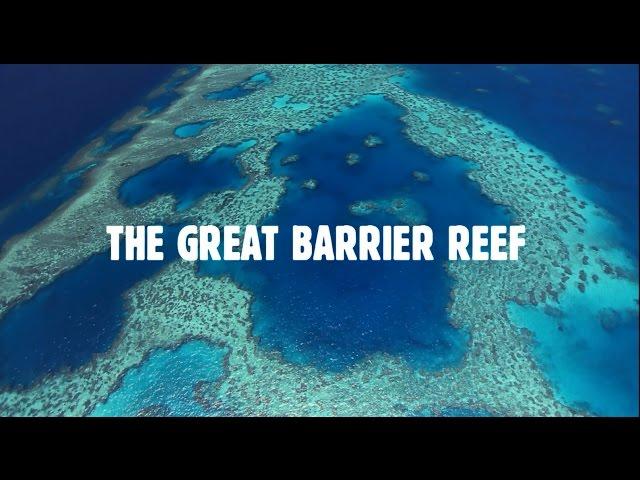 Queensland's Great Barrier Reef: The World's Best Address