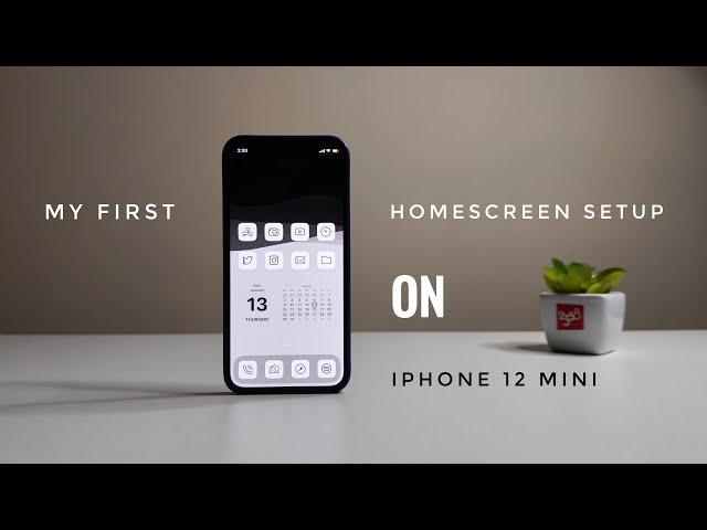 iOS Homescreen Setup | iPhone 12 Mini !