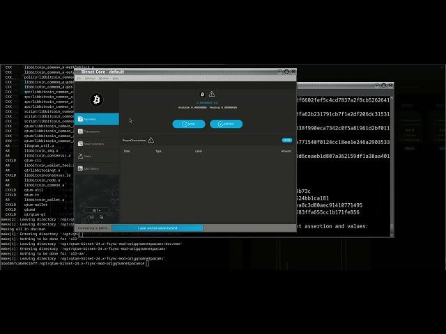 Bitnet IO with Quantum framework hopefully soon *prototype video* 07-22-2024