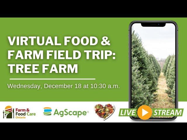 Tree Farm Virtual Food and Farm Field Trip