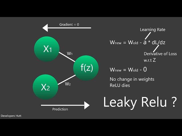 Dying Relu Problem || Leaky Relu || Quick Explained || Developers Hutt