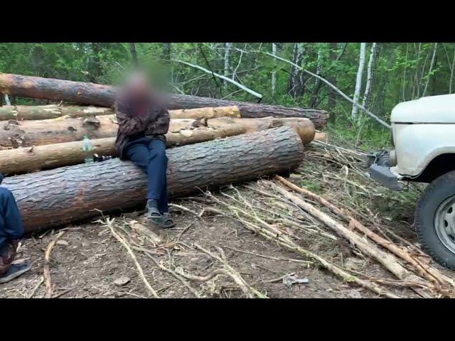 В Иркутской области полицейскими пресечена незаконная рубка леса под видом расчистки деляны