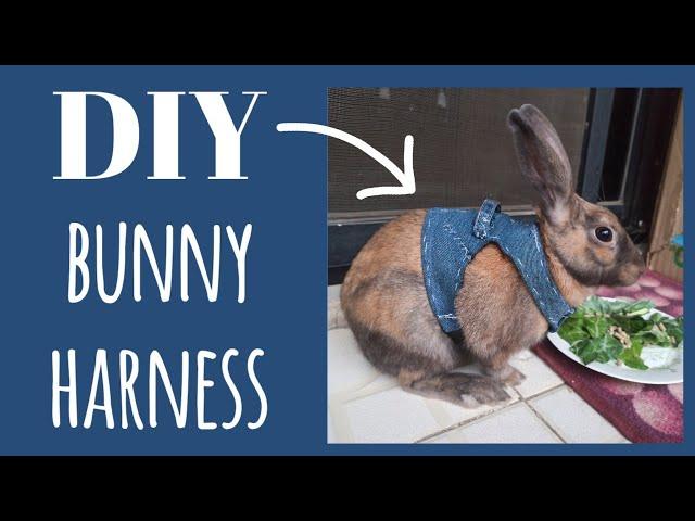 DIY bunny harness || Nupur n Buttercup