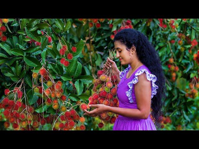 Rambutan fruit recipe  Sweet & Sour Sinhalese Fruit Dishes | Sri Lankan Food | Nature Cooking