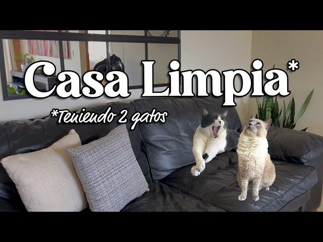 Así mantengo mi CASA LIMPIA con gatos: Consejos y Trucos | Día de SOL