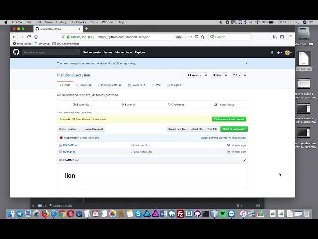 How to create a new branch and push to the remote github repository