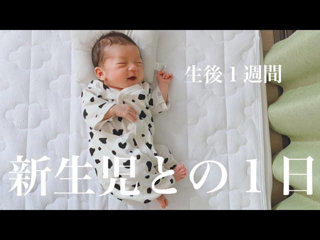 【新生児】里帰りなし / 新生児との１日 / 新米パパ・ママ奮闘中！【生後１週間】