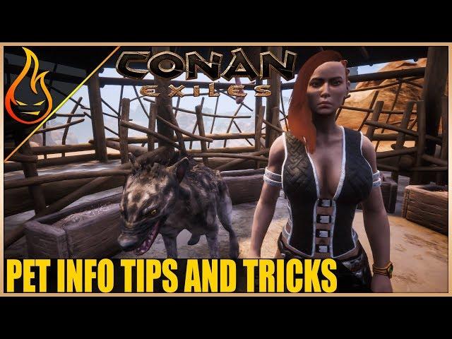 Eggs, Locations, Tricks And More Conan Exiles 2018 | Pet Tips