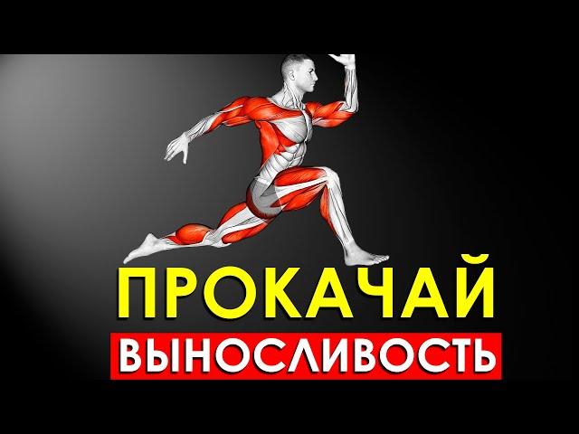 Как Быстро Увеличить Выносливость Организма (Научно Обоснованно)