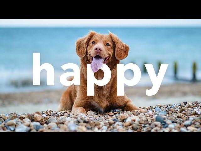  Upbeat Happy No Copyright Free Instrumental Background Music Mix by Limujii