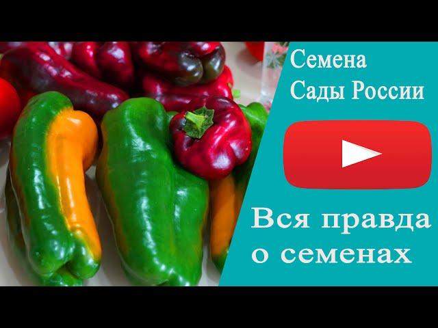 Семена от  НПО" Сады России" Вся правда о семенах.