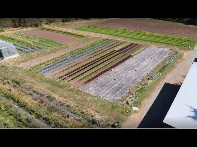 BCCAF | Nitrogen and Nutrient Management at Tatlo Road Farm