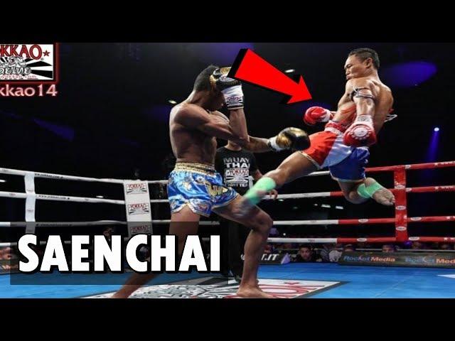 Saenchai Highlight