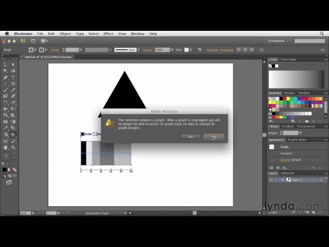 4-6. Customizing Charts in Illustrator-Designing your own chart.mov