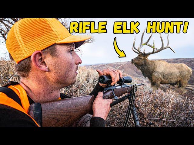 Bugling BULLS on OPENING DAY! (Colorado Rifle Season!!)