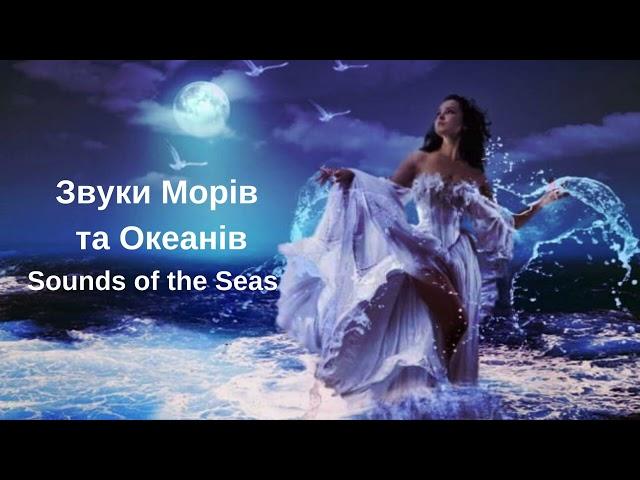 Sounds of the Seas 2023 Звуки Морів та Океанів. Якщо важко заснути