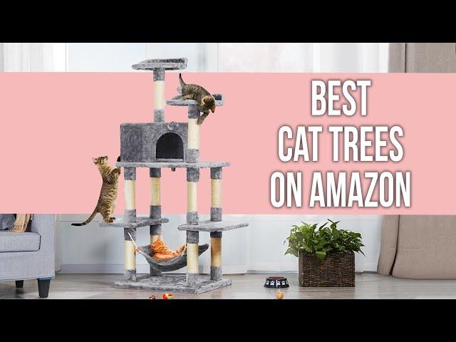 7 Best Cat Trees on Amazon