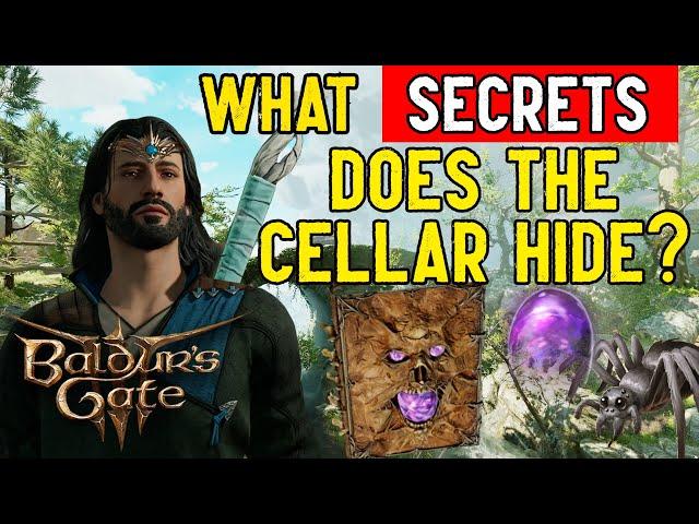 Baldur's Gate 3 - Cellar, Necromancy and Spider Matriarch (Search the Cellar Quest Walkthrough)