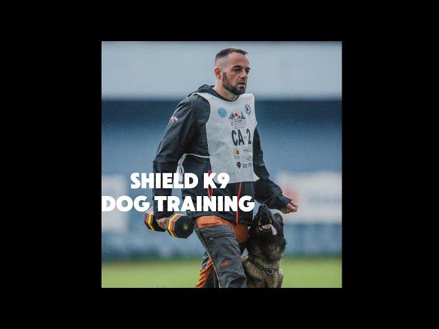 Haz Othman: The Man Behind The "No Nonsense Dog Training" Philosophy