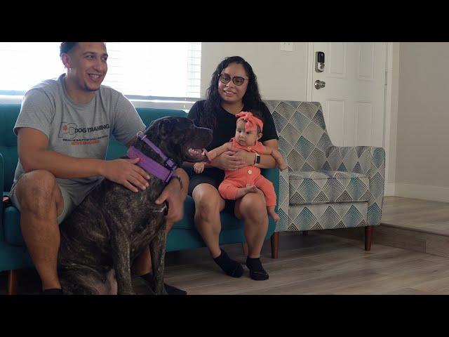 Female Presa Canario, is she sweet? | Life After the Litter 6