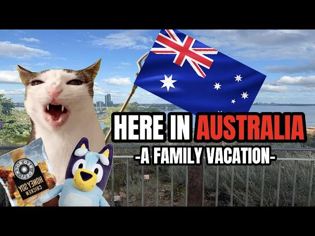 CAT MEMES: HERE IN AUSTRALIA