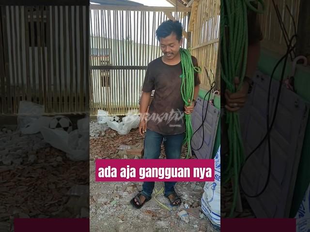 ayam siapa sih #lucu #sketsabodorsunda #comedy #funnyshorts #bodorsunda #ngakak #memes #lawak