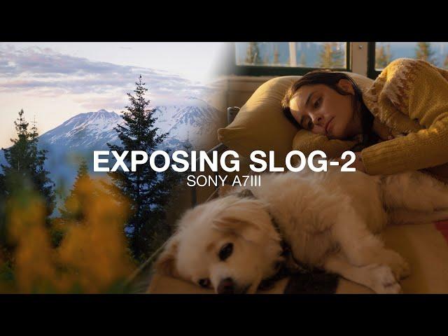 How to PROPERLY EXPOSE SLOG-2 | Sony a7iii Tutorial