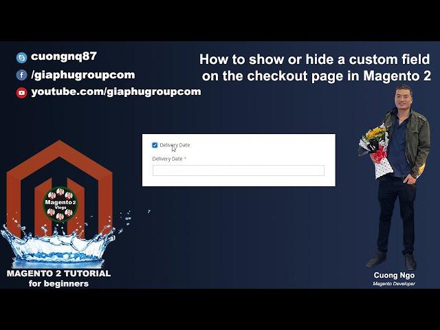 How to show or hide a custom field on the checkout page in Magento 2