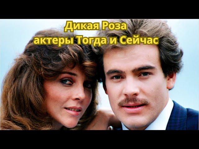 Тогда и Сейчас актеры сериала Дикая Роза