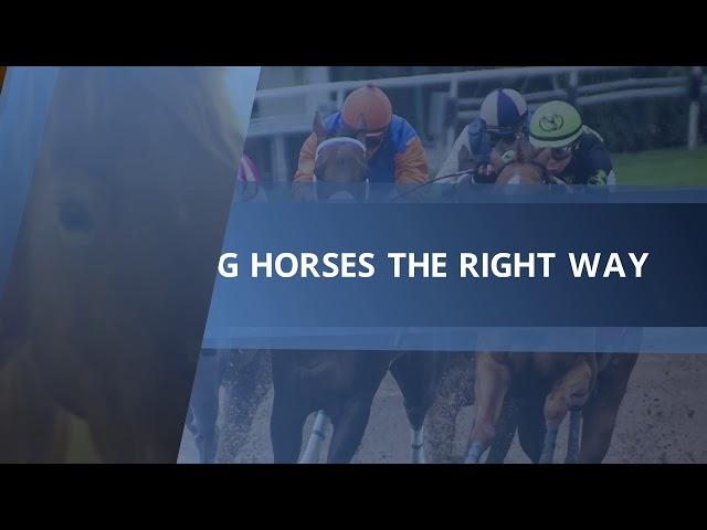 Training Racehorses for Success Today and Across Posterity - Richard Schibell Racing