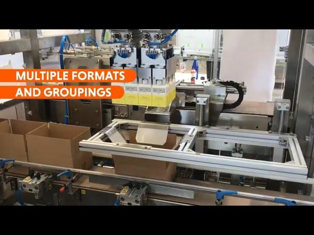 American Box Pick-and-Place Automatic Packaging Machine