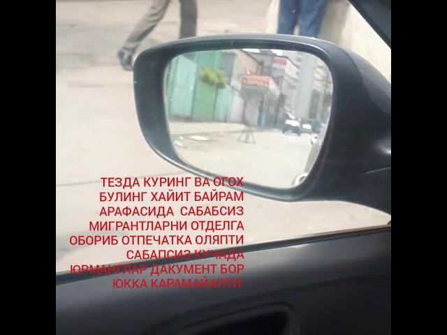 ТЕЗДА КУРИНГ!!