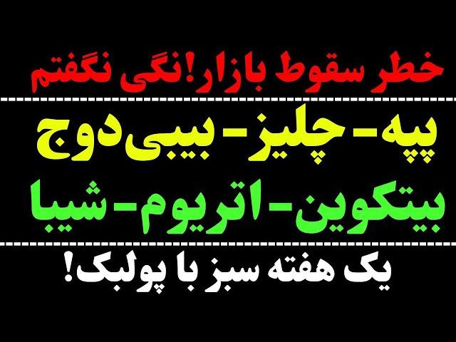 تحلیل ماهانه و هفتگی ارز شیبا | بیت کوین | تحلیل پپه | تحلیل بیبی دوج | تحلیل چلیز | تحلیل اتریوم