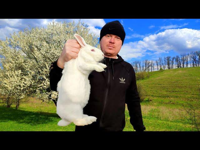 Village Man Cooks Stewed Rabbit in Sour Cream (no talk) | village cooking