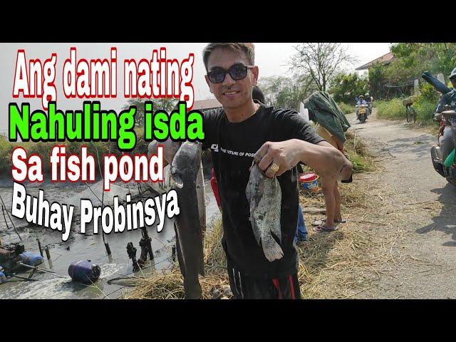 ANG DAMI NATING NAHULING ISDA SA FISH POND BUHAY PROBINSYA PAMPANGA PART 6