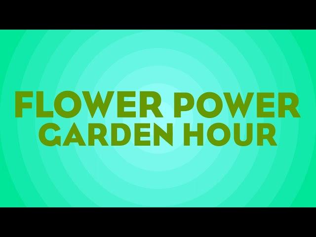 Flower Power Garden Hour 130:  January To Do List