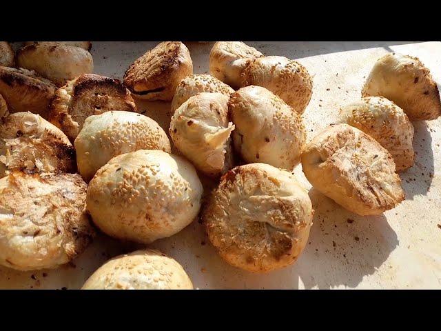 Let's watch  TANDOOR SAMOSA UZBEKISTAN TRADITIONAL FOOD | Legendary samsa uz |