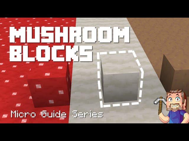 Mushroom Blocks - Minecraft Micro Guide