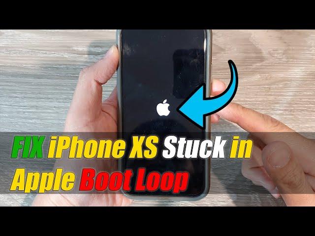 How to Fix iPhone XS Stuck In Apple Boot Loop