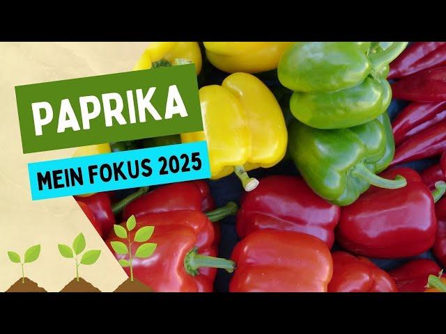 Die Paprika-Saison beginnt: Sorten-Vielfalt und Aussaat-Tipps ️