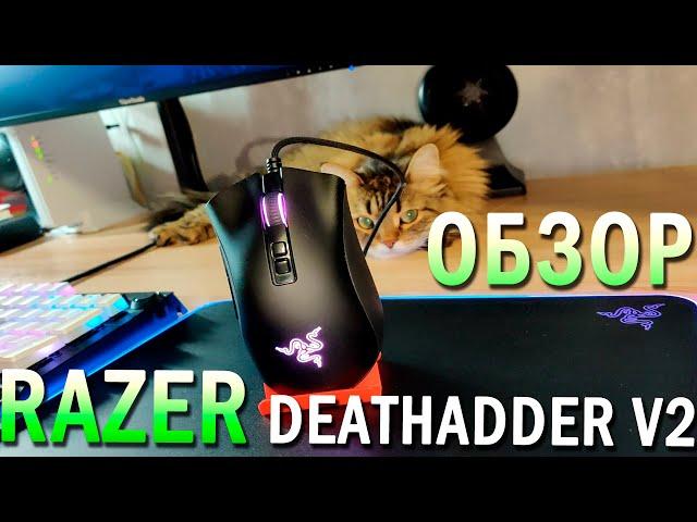 ПЕРЕОСМЫСЛЕНИЕ КЛАССИКИ // Обзор игровой мышки Razer Deathadder V2