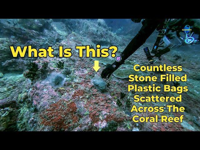 Ocean Mystery: Hundreds of Unknown Threats at 100ft!