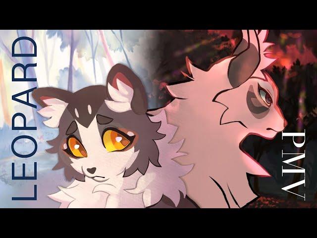 LEOPARD | PMV