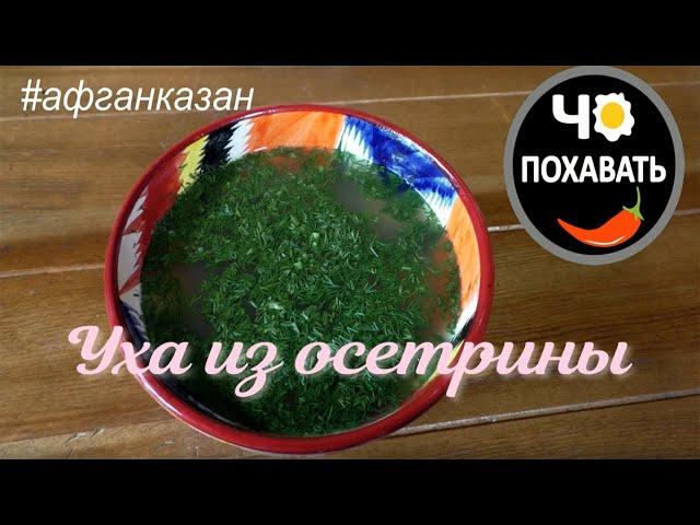 Уха из осетрины ! готовим в афганском казане