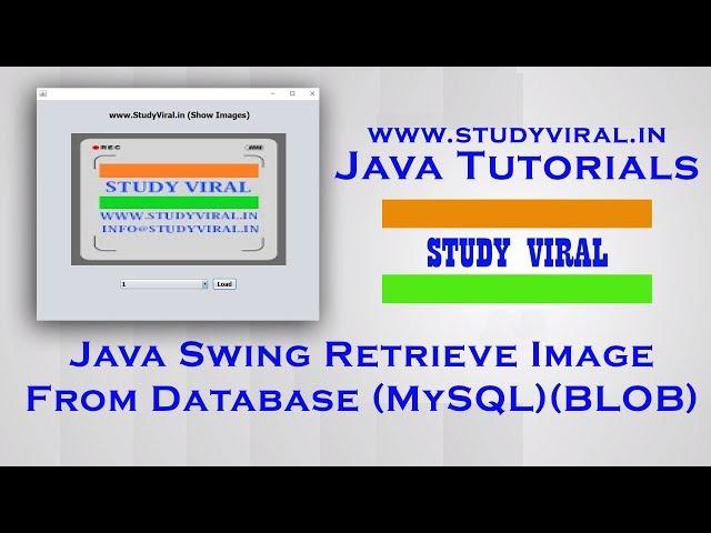 Java Swing Retrieve Image From Database (MySQL) as BLOB - StudyViral
