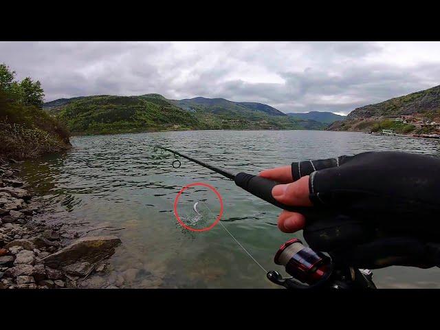 I caught flying fish. | FISHING IN TURKEY