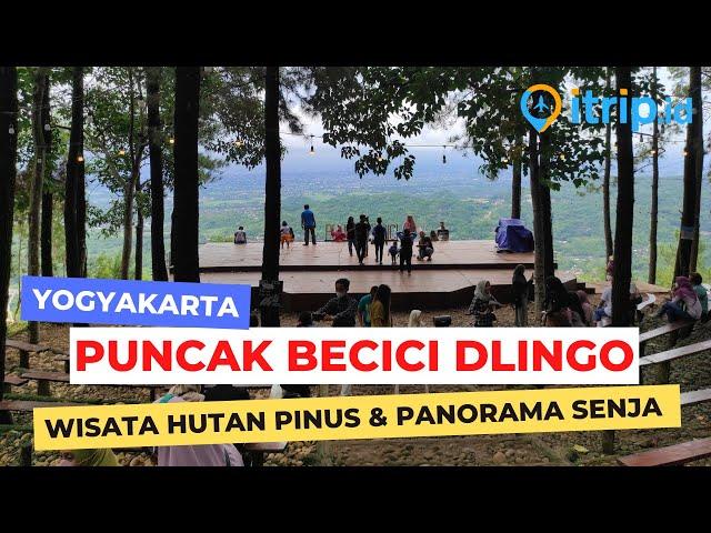 Puncak Becici, Destinasi Alam di Bantul Jogja dengan Pemandangan Eksotis