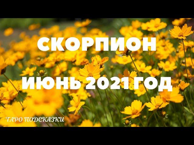 ТАРО-ПРОГНОЗ. СКОРПИОН. ИЮНЬ 2021 ГОДА.