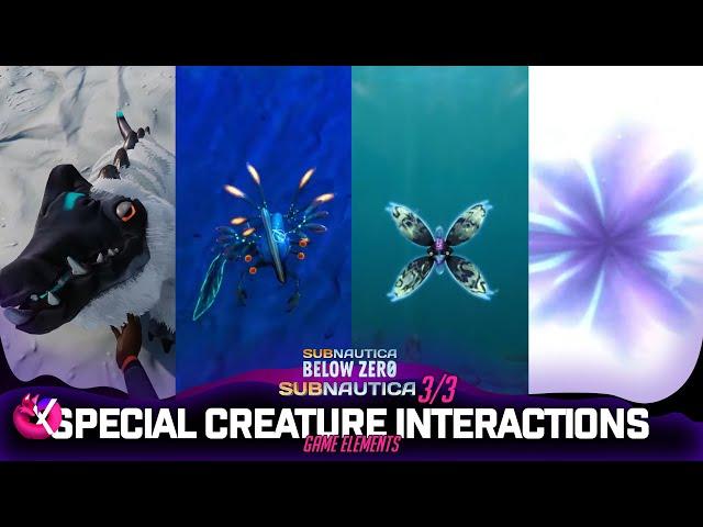 Special Creature Interactions 3/3 | Subnautica & Below Zero
